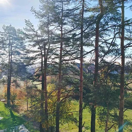 Apartamento Pine & Peak