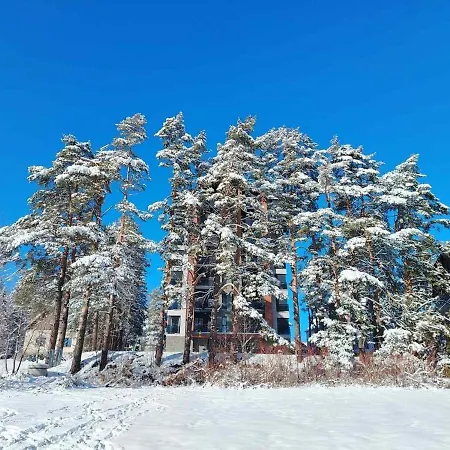 Pine & Peak * Zlatibor