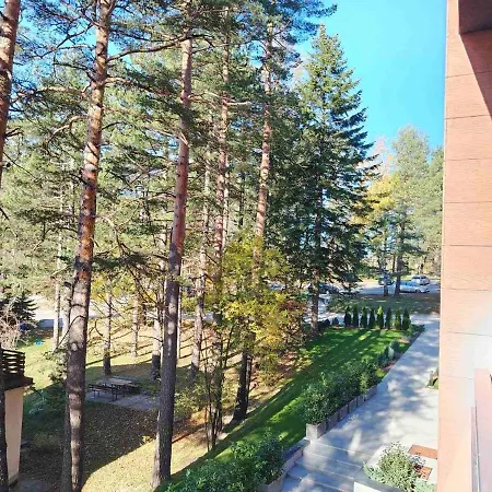 Pine & Peak * Zlatibor