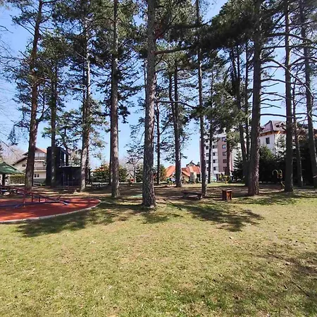 Pine & Peak Zlatibor