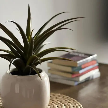 Apartmán Pine & Peak *