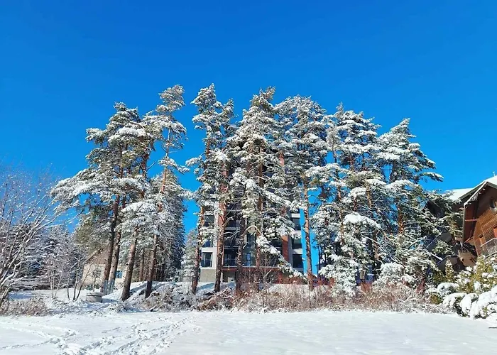 Pine & Peak * زلاتيبور