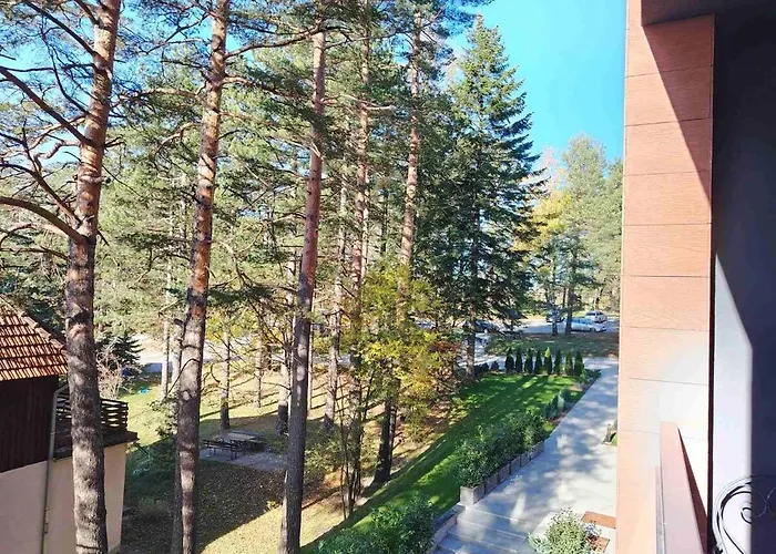 Pine & Peak * زلاتيبور