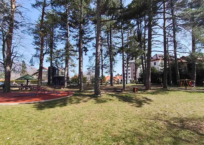 Pine & Peak زلاتيبور