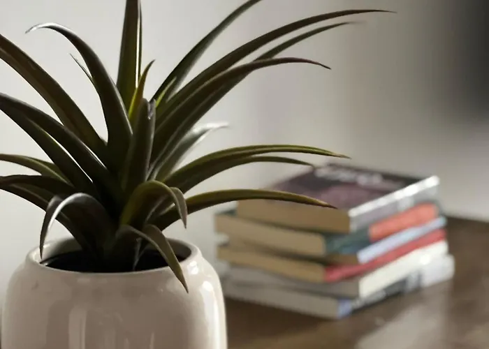 شقة Pine & Peak *